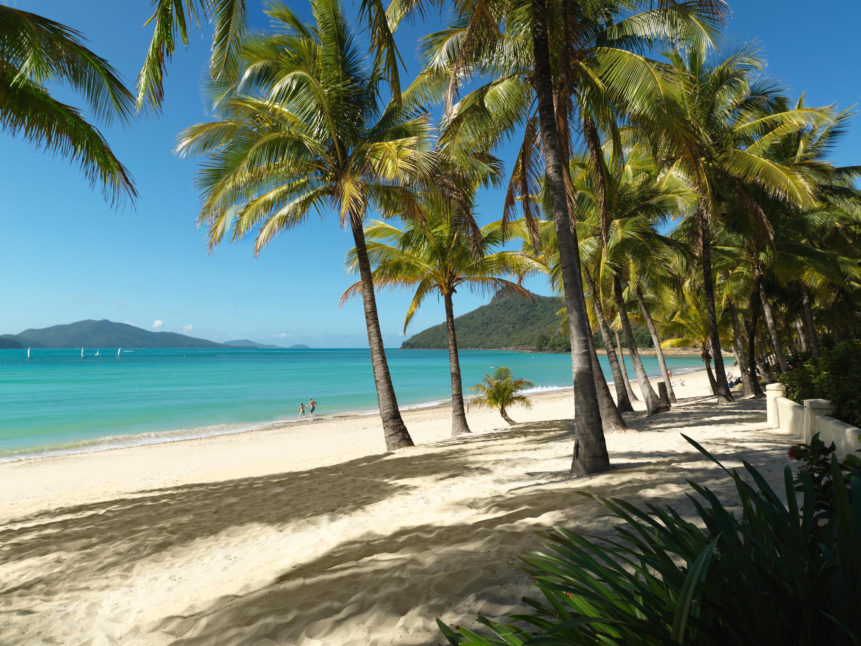 Reef View Hotel Hamilton Island Eksteriør billede